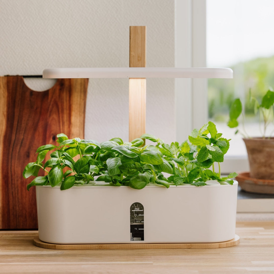 Innenküchengarten, groß