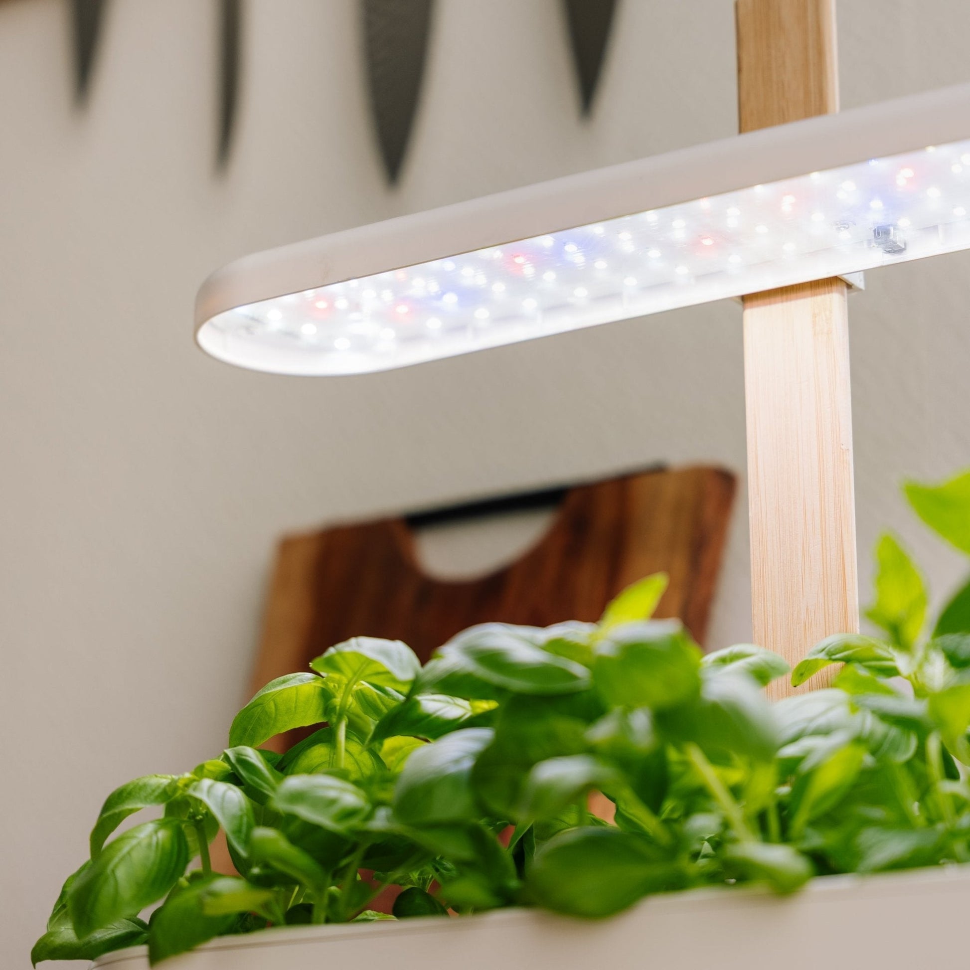 Innenküchengarten, groß