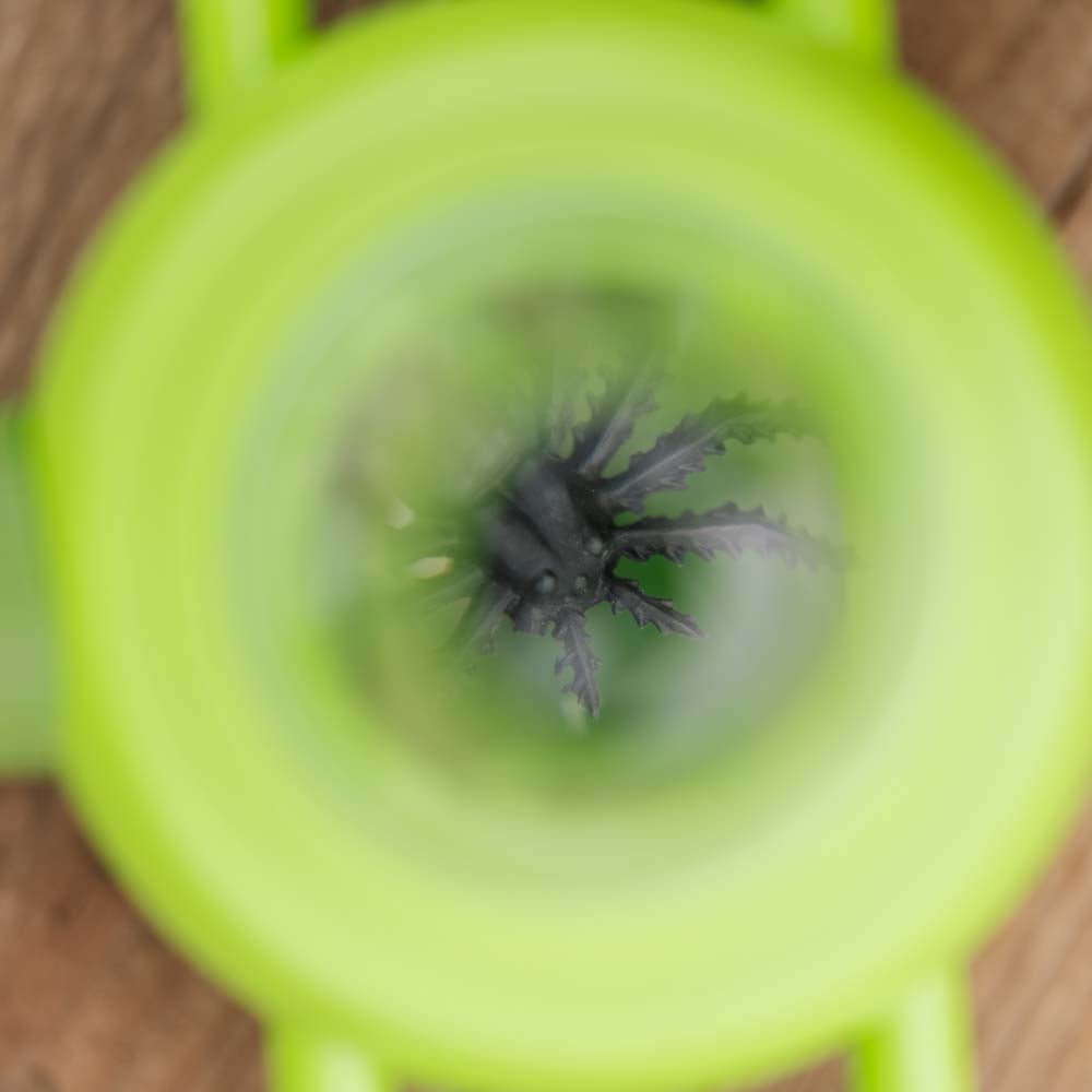 Insektenbox für Kinder