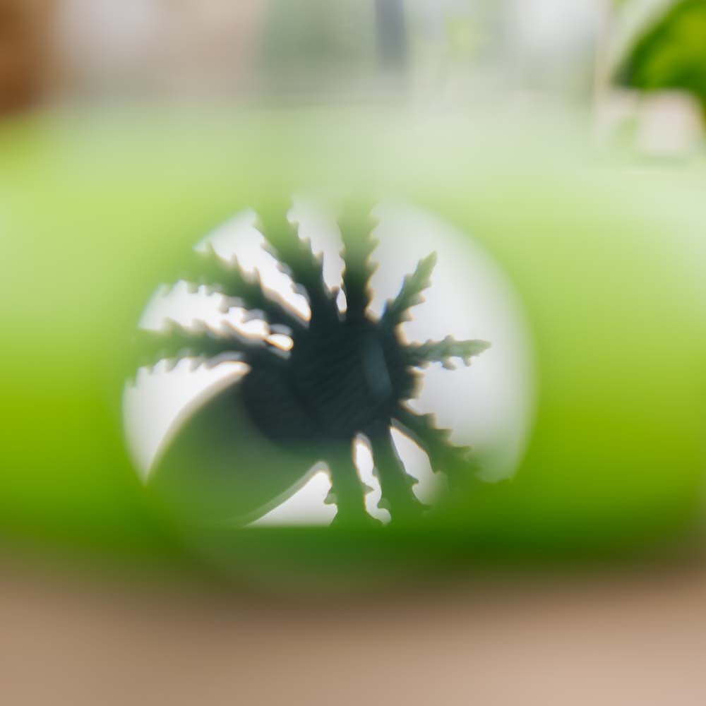 Insektenbox für Kinder