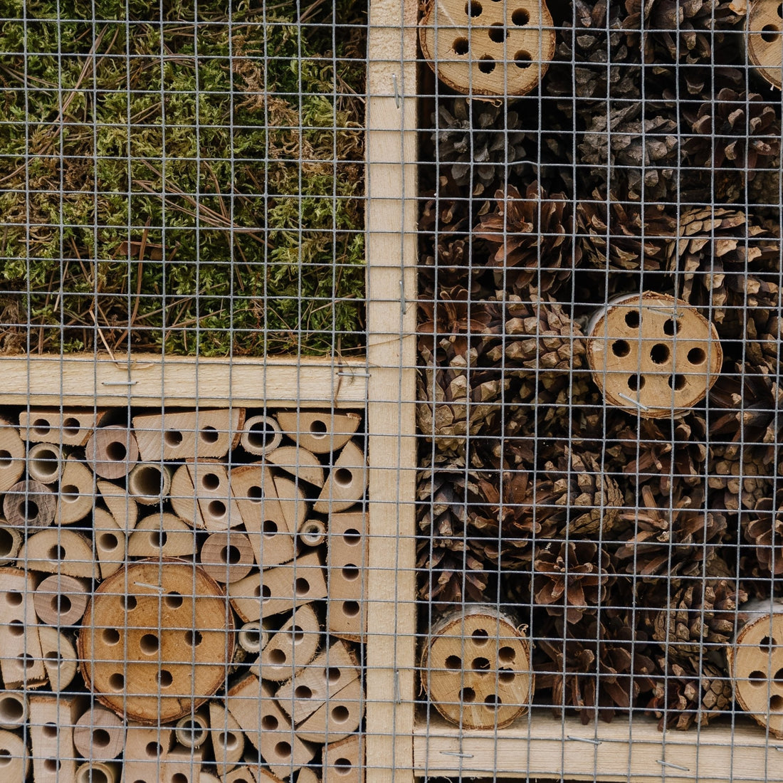 Insektenhotel, groß, L: 12 cm B: 50 cm H: 38 cm