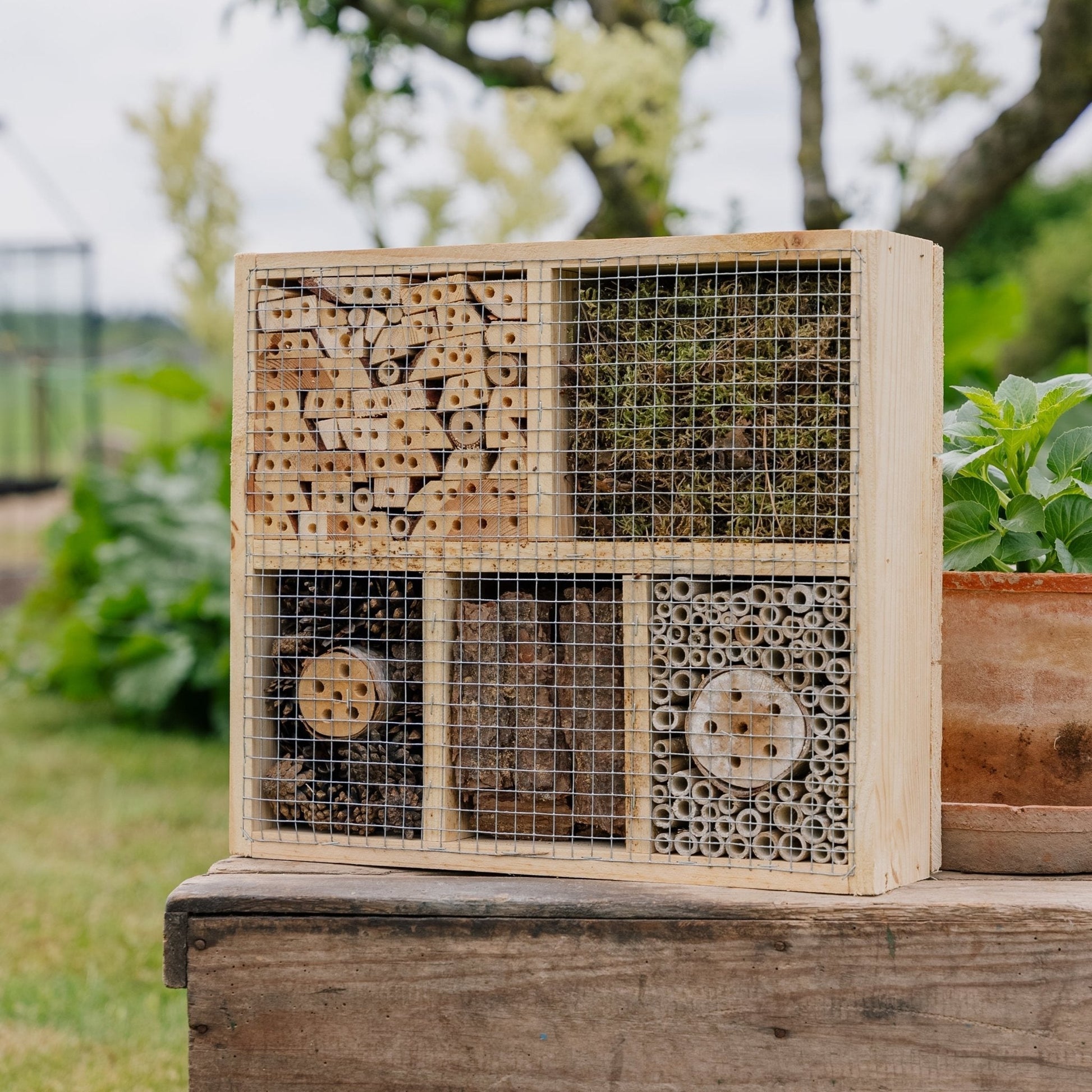 Insektenhotel, Natur, L: 12 cm B: 38 cm H: 43 cm
