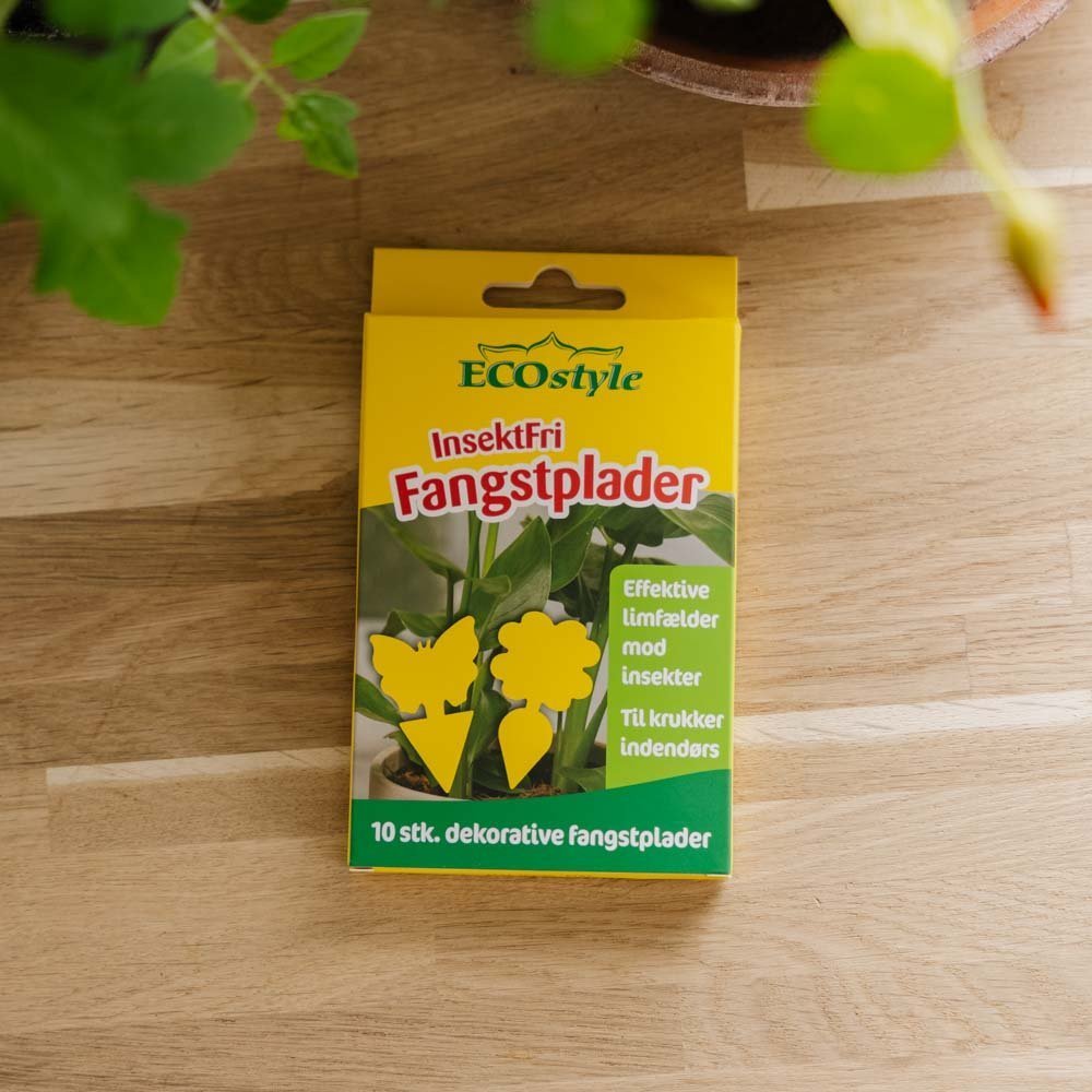 Insektfrei Fangplatten mit Motiv, 10 stück