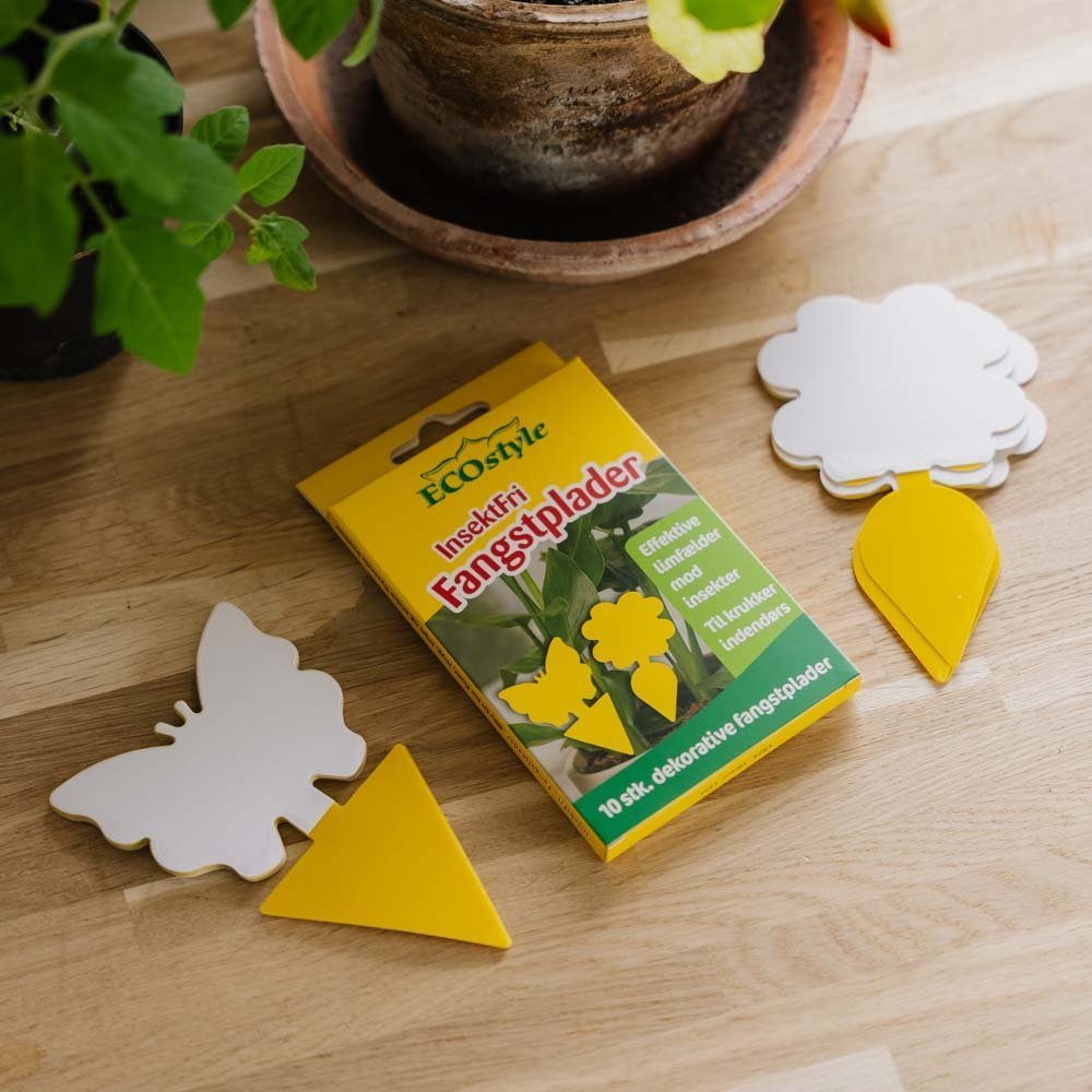 Insektfrei Fangplatten mit Motiv, 10 stück