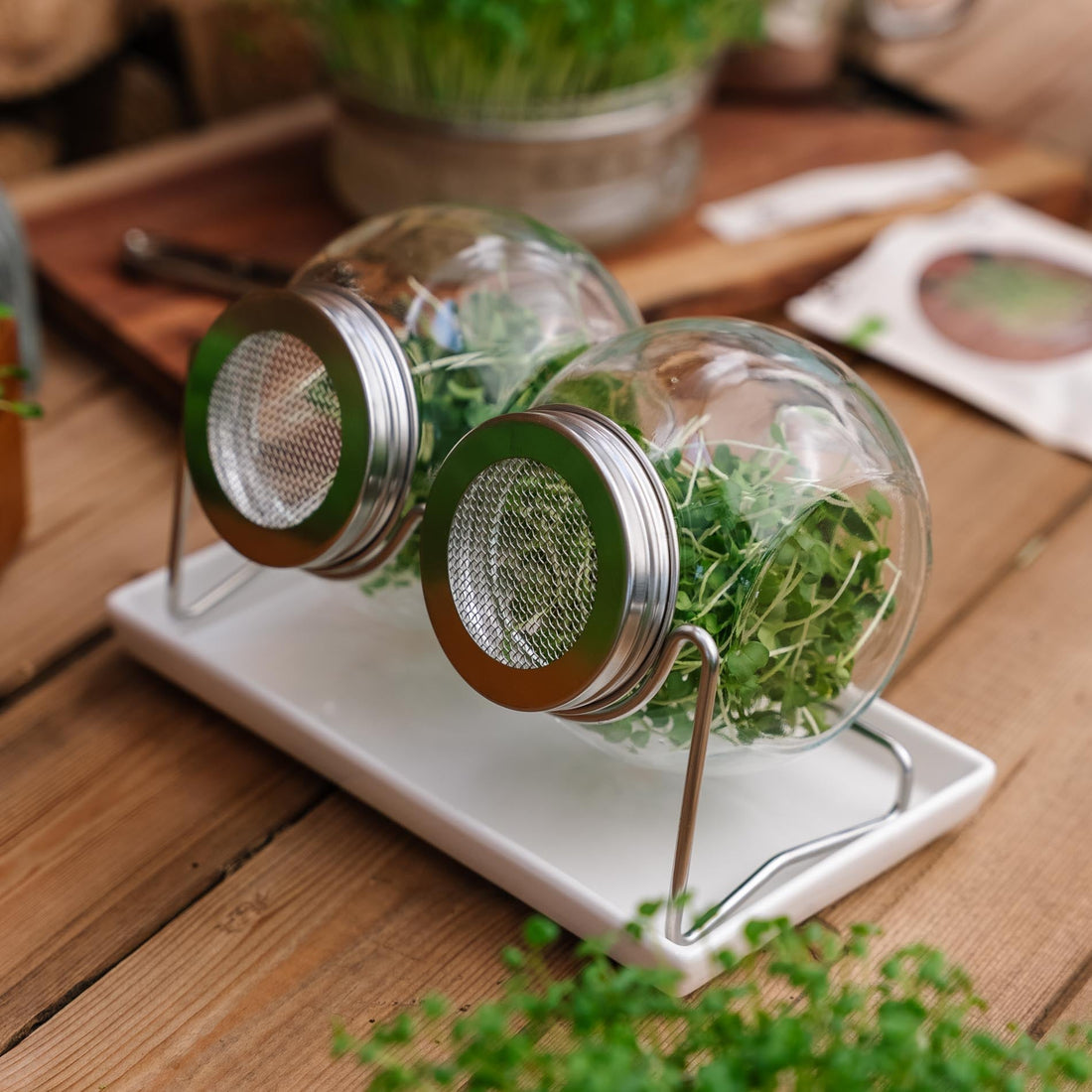 Keimglas Set mit Abtropfschale