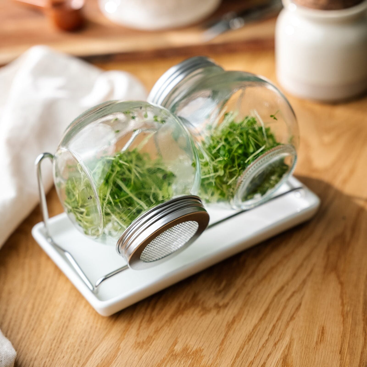 Keimglas Set mit Abtropfschale