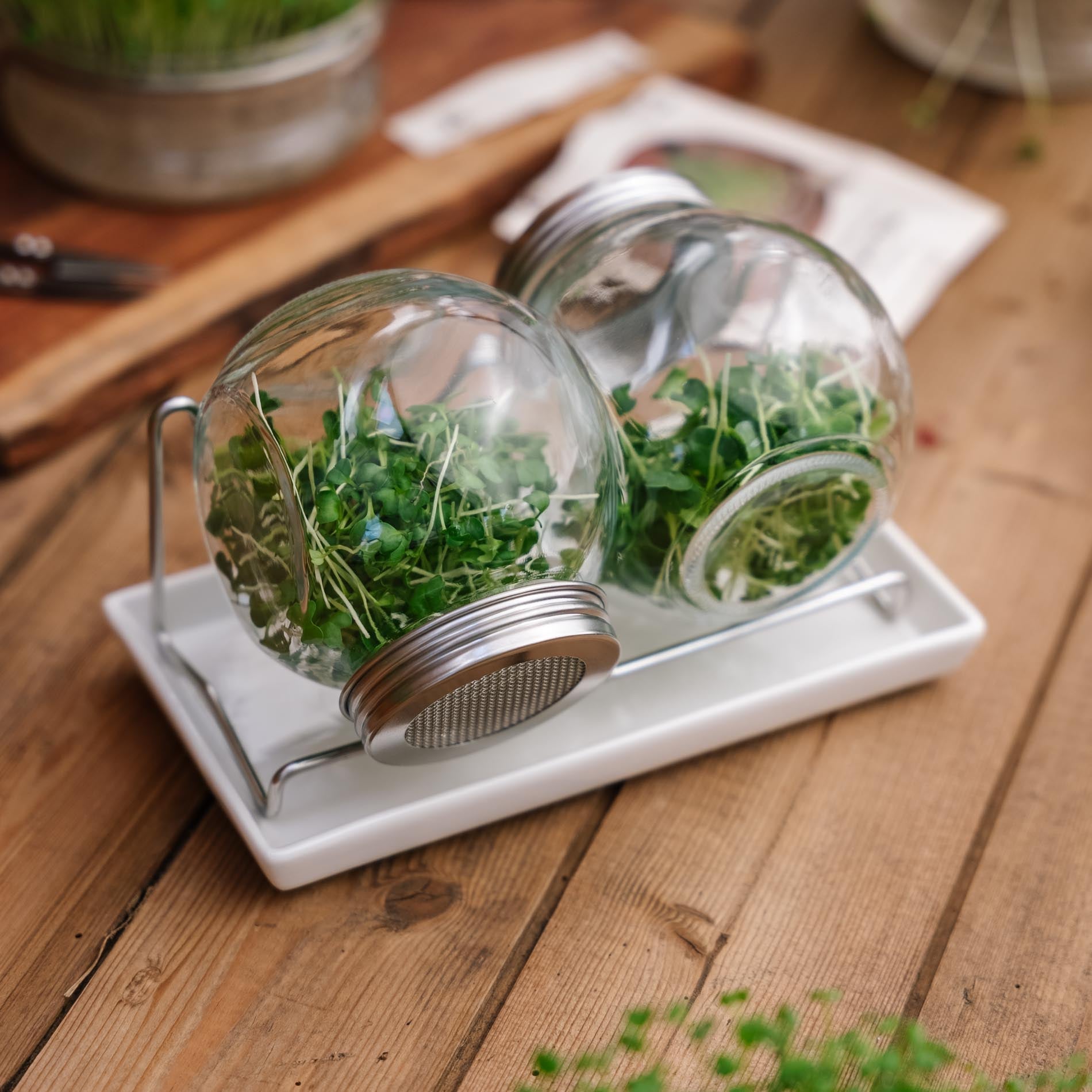 Keimglas Set mit Abtropfschale