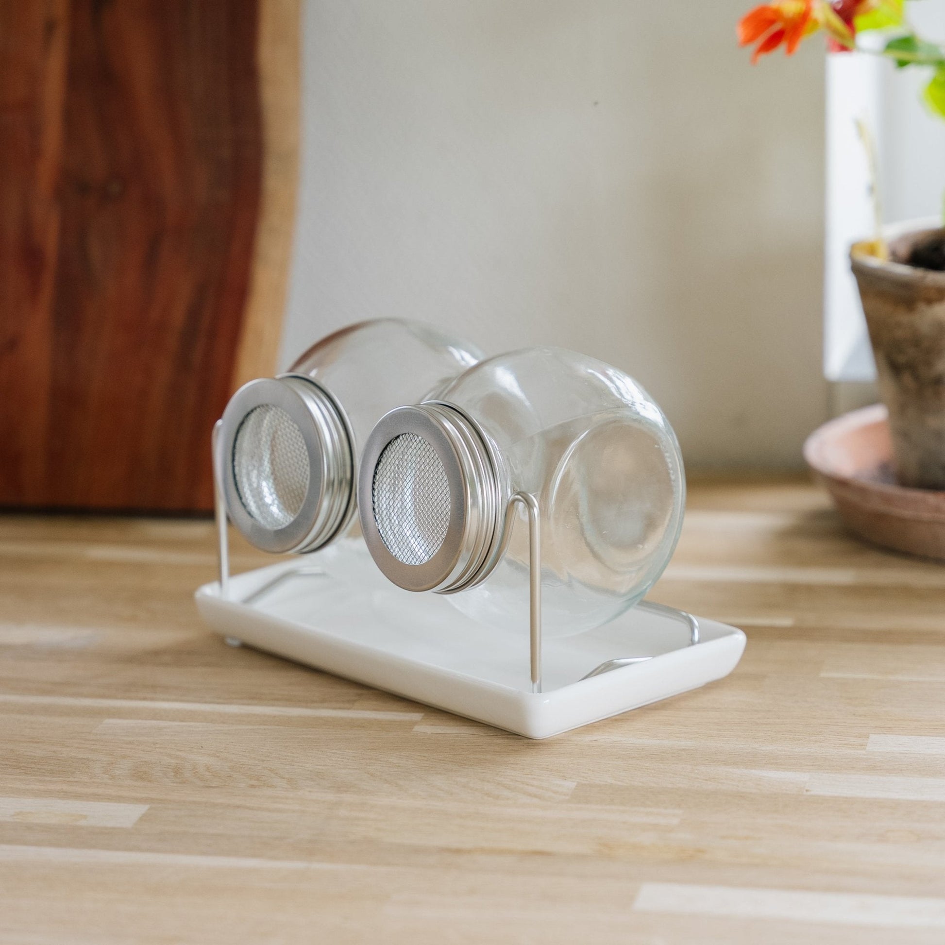 Keimlingsgläser Set mit Tablett