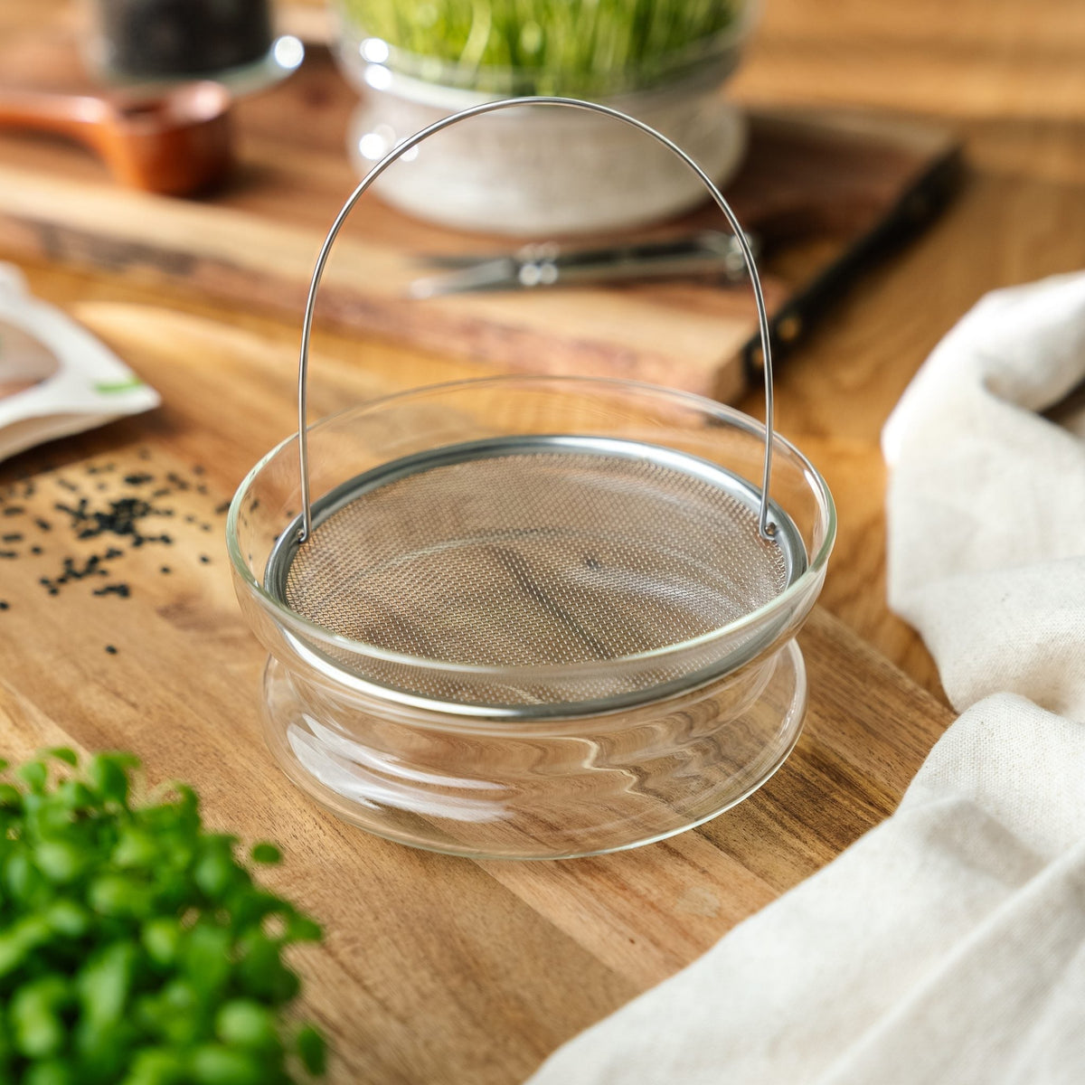 Keimschale für Microgreens