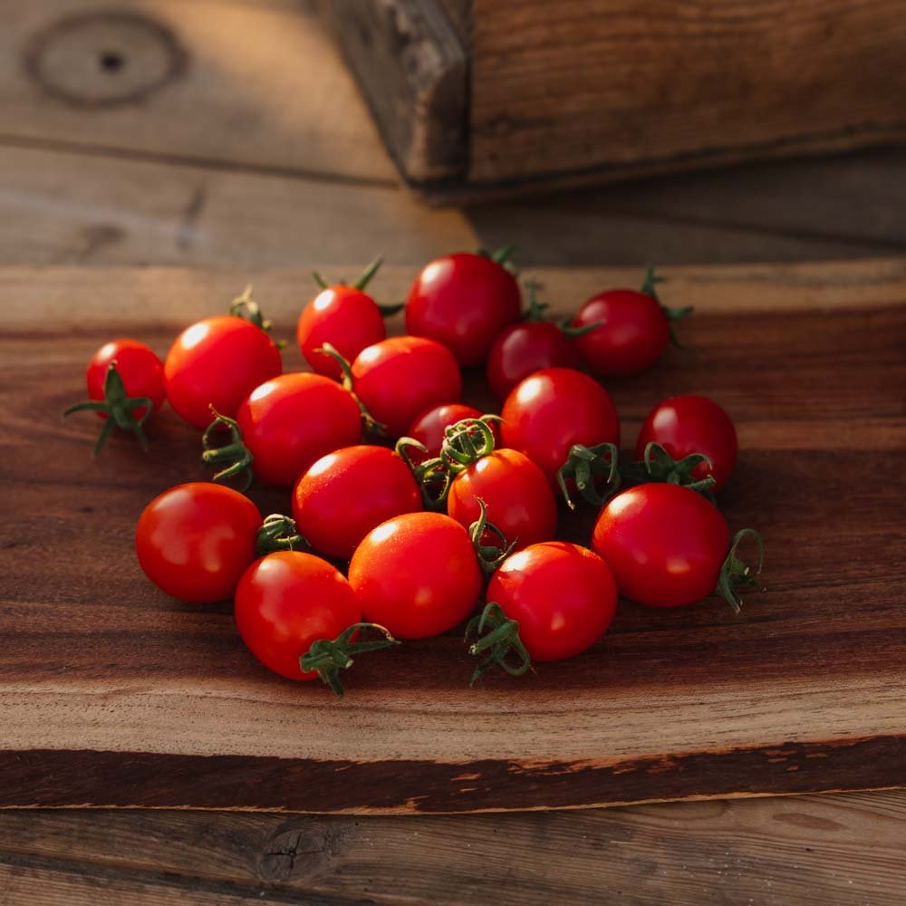 Kirschtomatensamen 'Bartelly F1' - 5 Biosamen