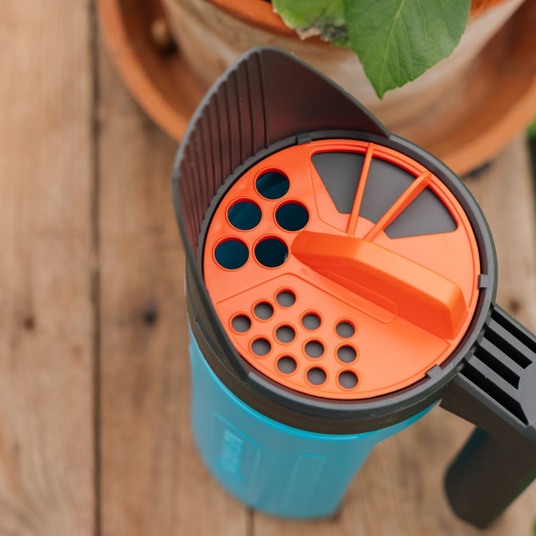 Kleiner verbreitet S