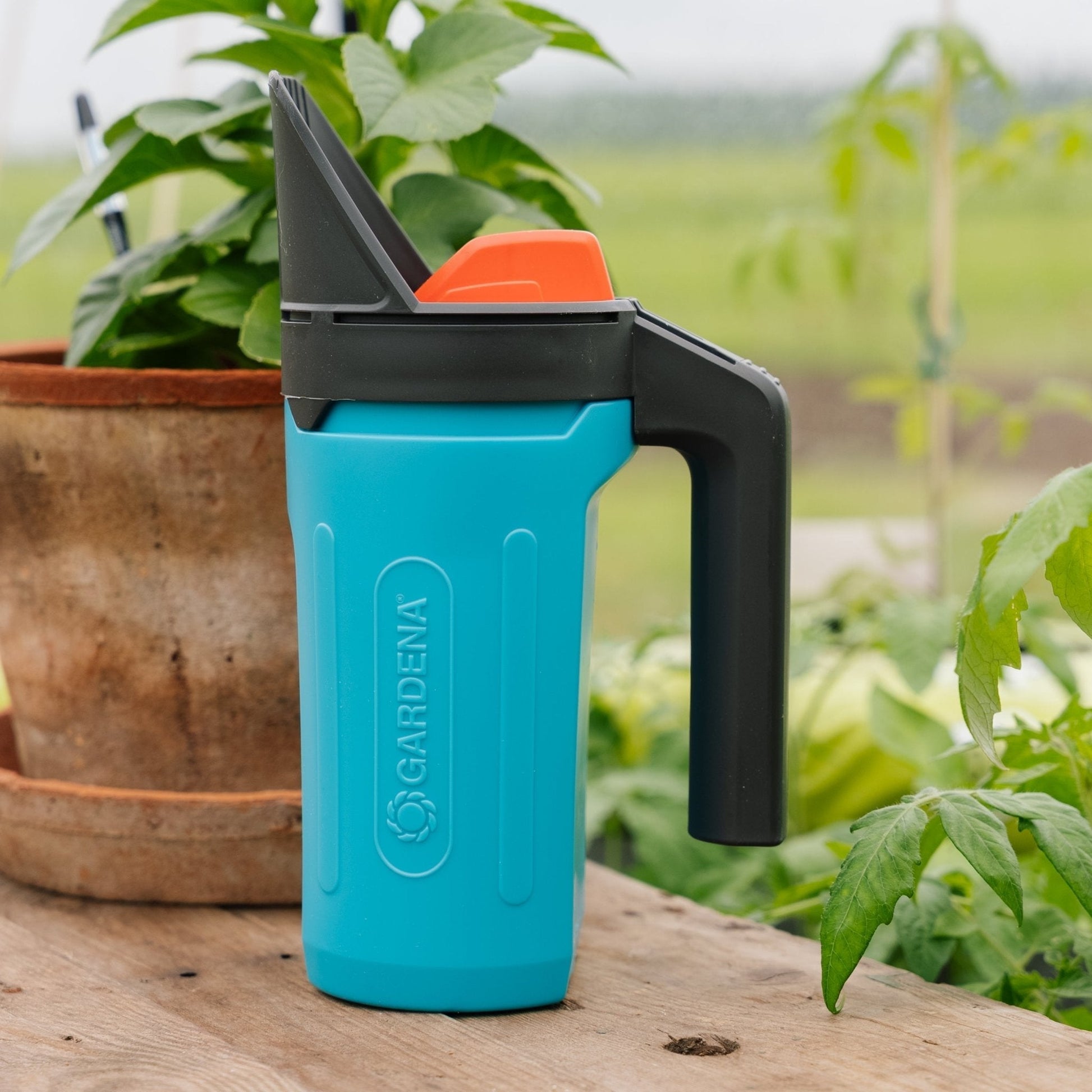 Kleiner verbreitet S