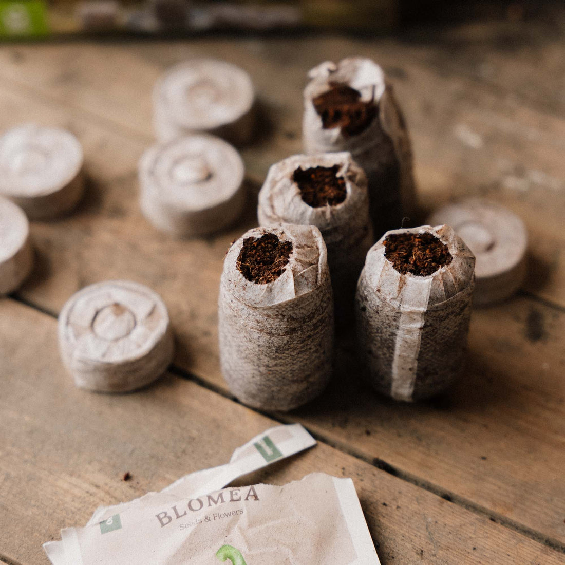 Kokos Quelltabletten 35 mm, Verpackungslösung 50 Stück.