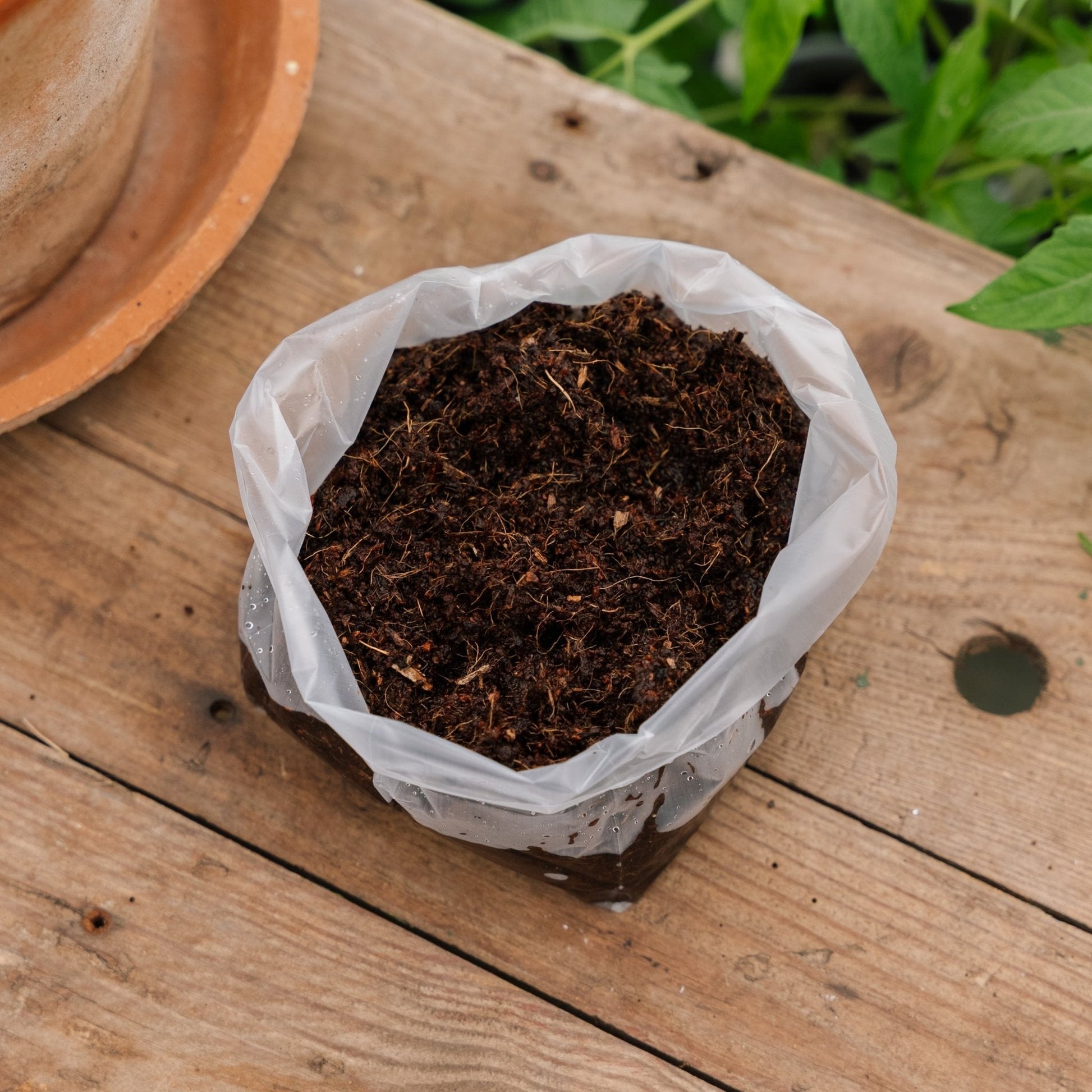 Kokoserde 1 Liter, 10x10 cm