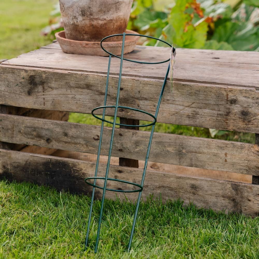 Konische Pflanzenstütze, L: 18 cm B: 18 cm H: 48 cm