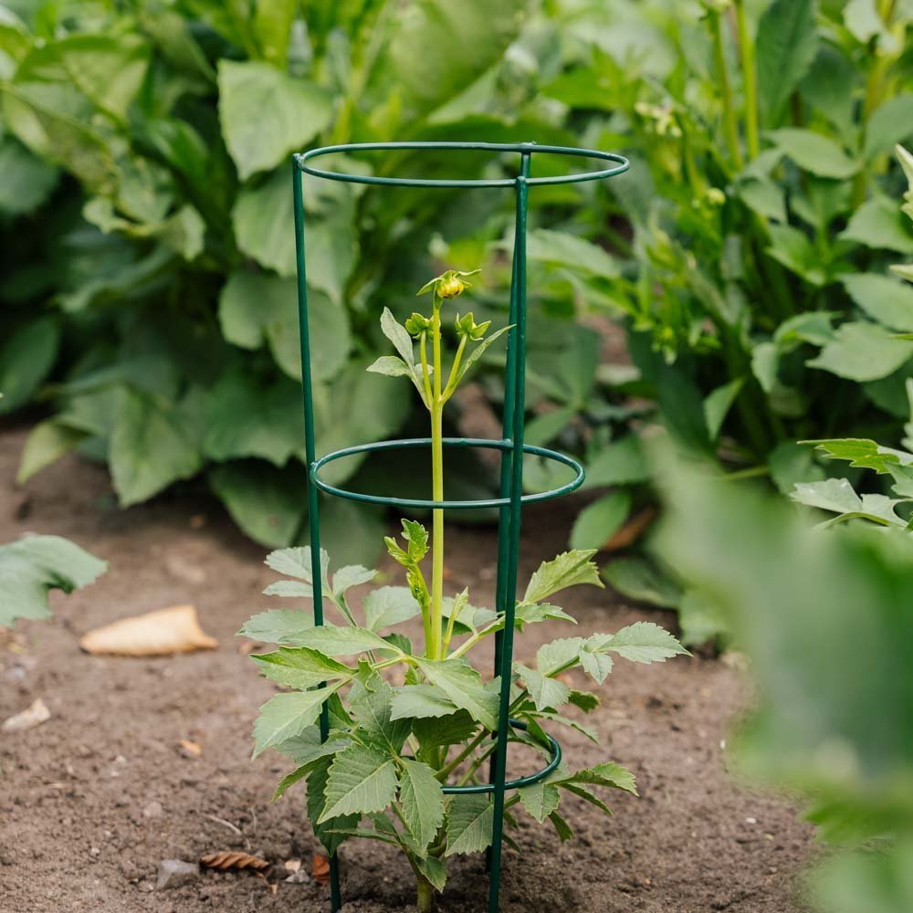 Konische Pflanzenstütze, L: 18 cm B: 18 cm H: 48 cm