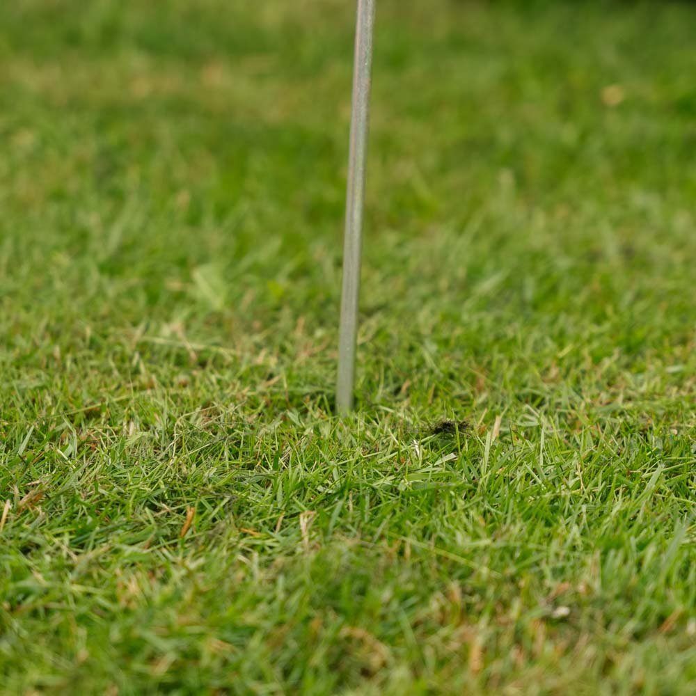 Maulwurf Vertreiben Laufgangfinder 1 stück