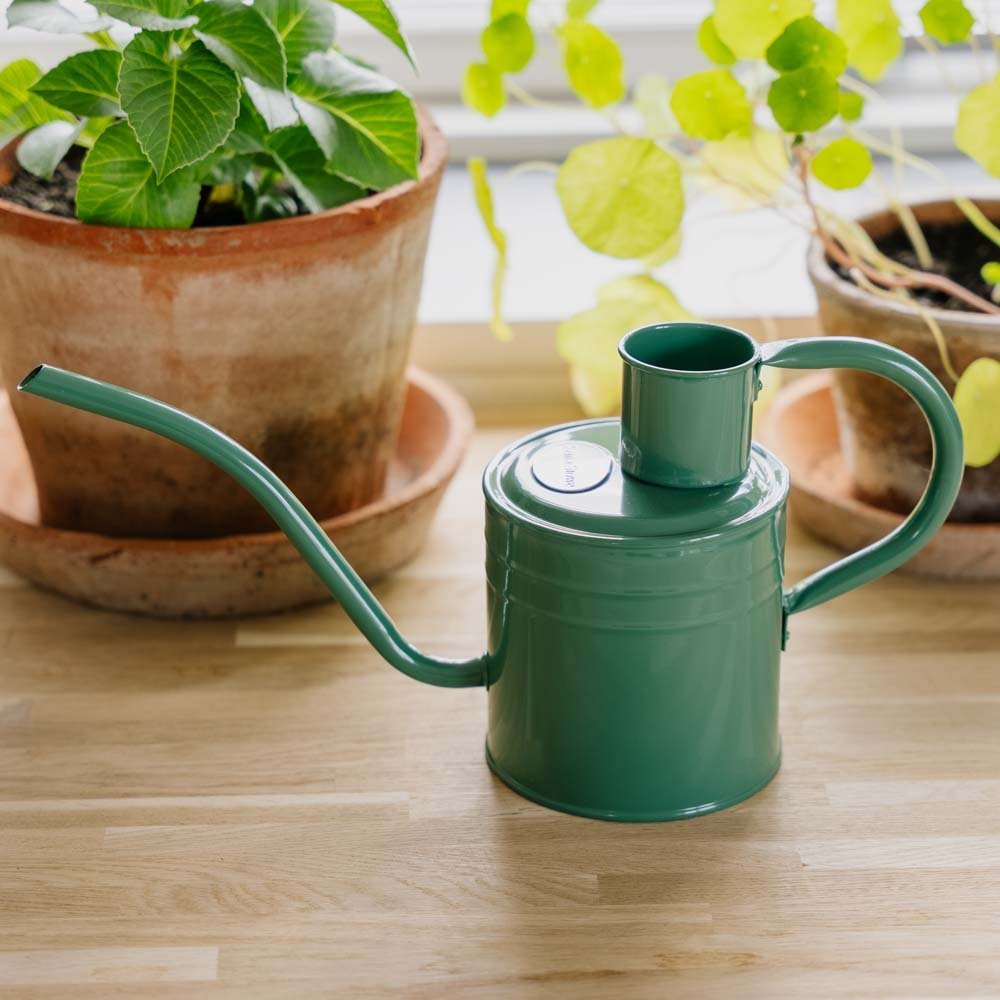 Metall Gießkanne für den Innenbereich, 1 L, salbeigrün