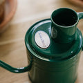 Metall Gießkanne für den Innenbereich, 1 L, waldgrün