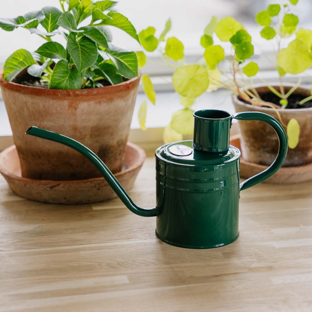 Metall Gießkanne für den Innenbereich, 1 L, waldgrün