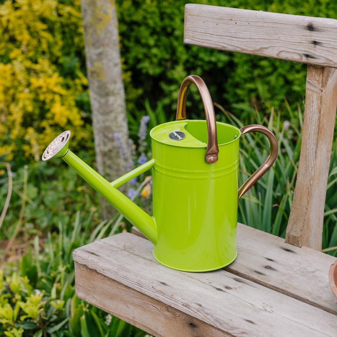 Metallgießkanne, 4,5 L, frisches Grün
