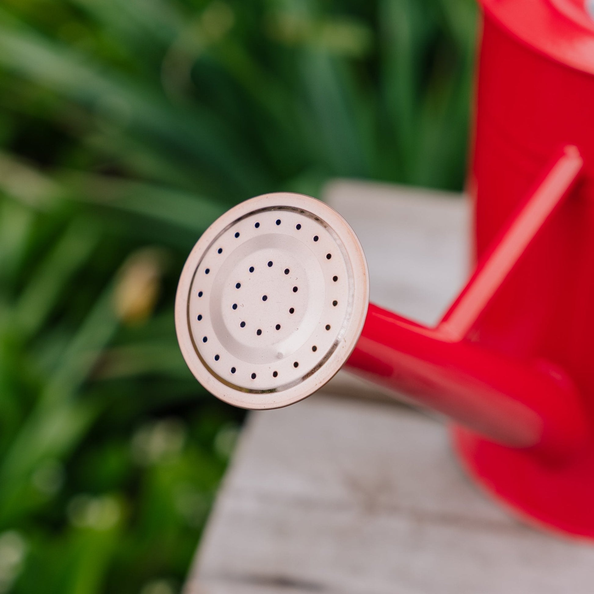 Metallgießkanne, 4,5 L, scharlachrot