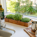 Microgreenbox mit Bambushalter - 6 Beutel Bio - Samen