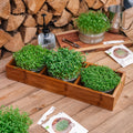 Microgreenbox mit Bambushalter - 6 Beutel Bio - Samen