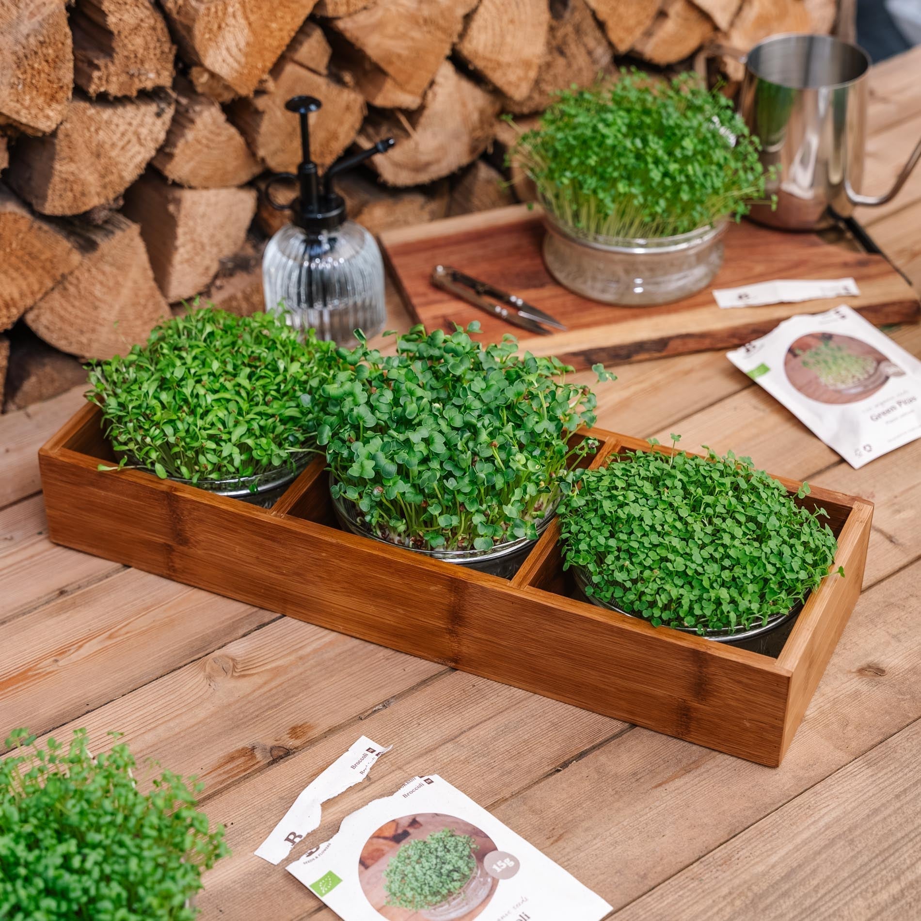Microgreenbox mit Bambushalter - 6 Beutel Bio - Samen
