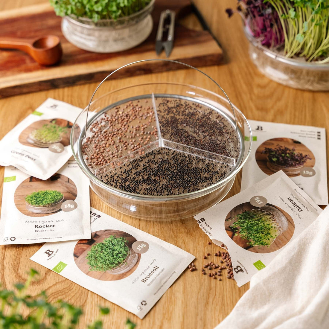 Microgreenbox mit großer Keimschale - 5 Tüten Biosamen