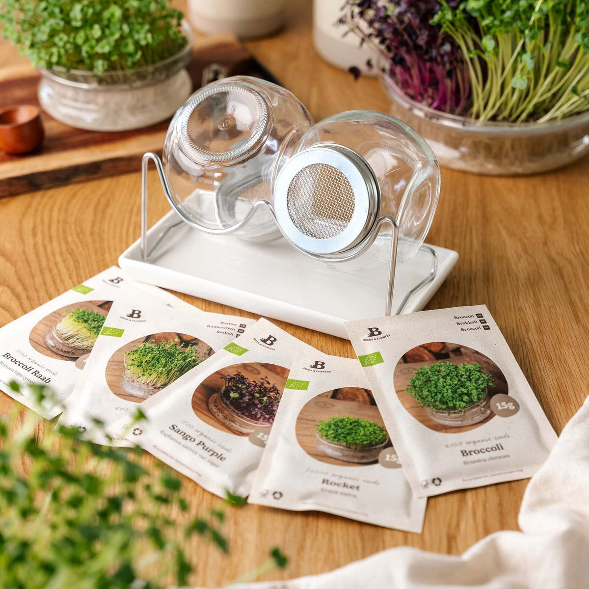 Microgreenbox mit Keimglas Set - 5 Tüten Biosamen