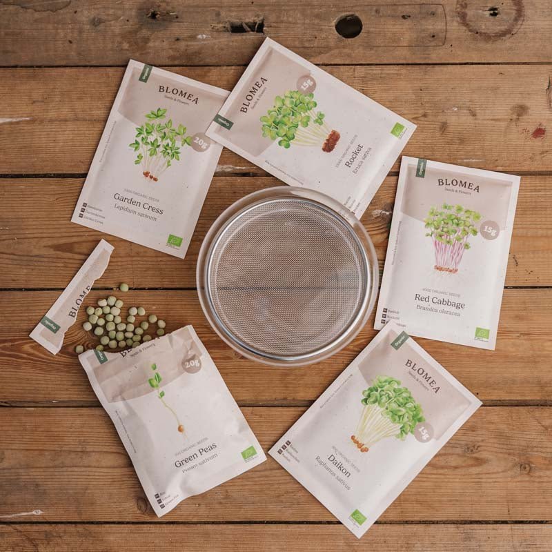 Microgreenbox mit Keimschale