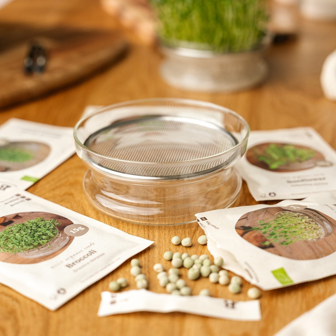 Microgreenbox mit Keimschale - 5 Tüten Biosamen