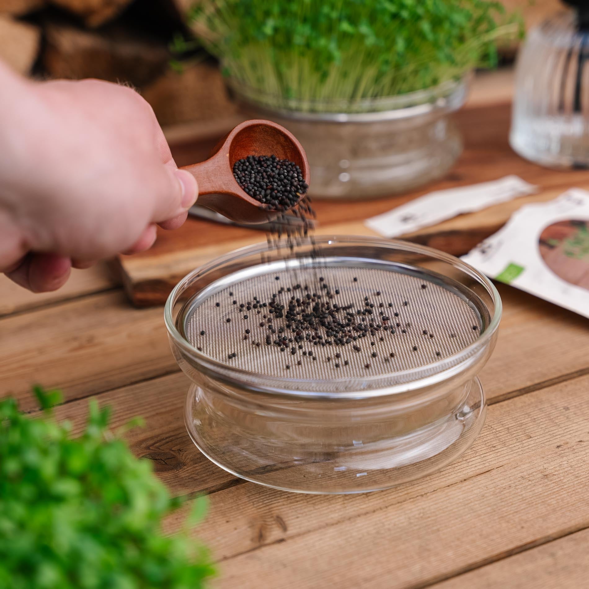 Microgreens - Dosierlöffel