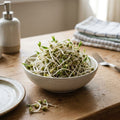 Microgreens Samen 'Bohnen' - 250 Biosamen