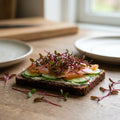 Microgreens Samen 'Rote Bete' - 1600 Biosamen