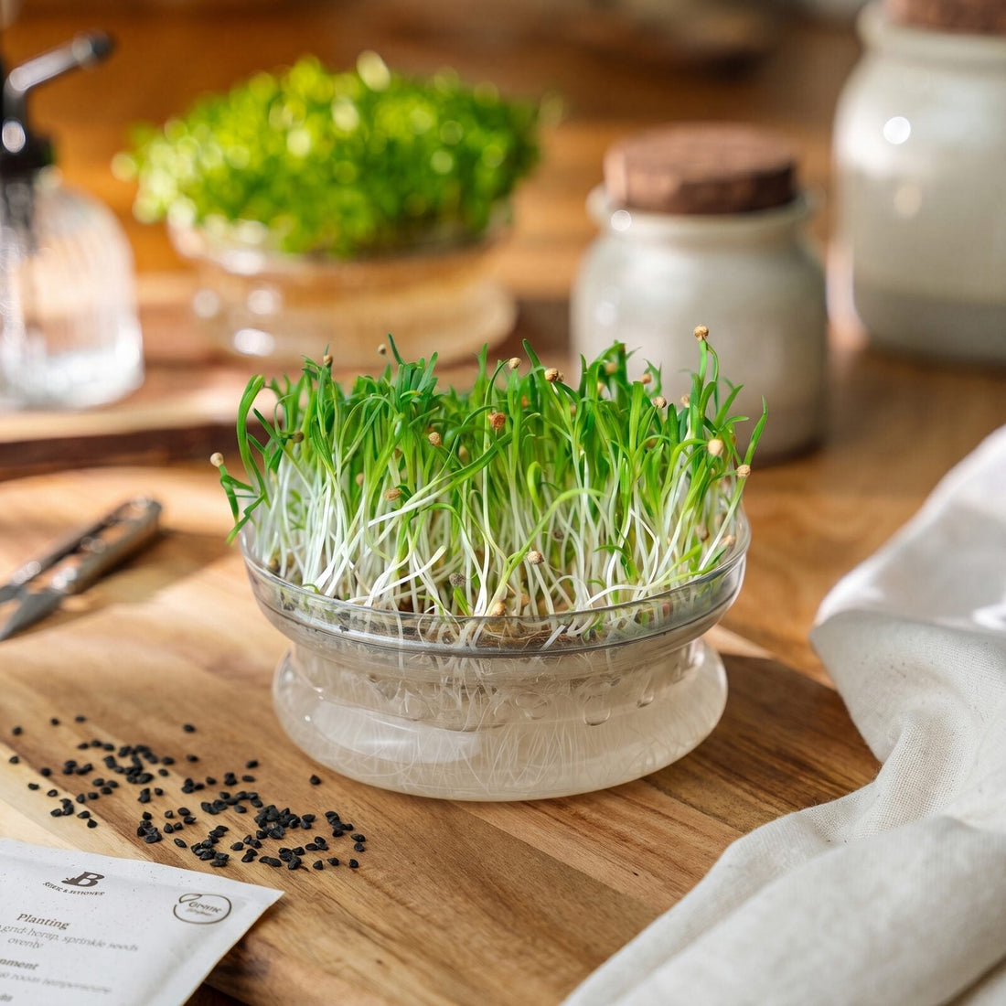 Microgreens Samen 'Spinat' - 1200 Biosamen