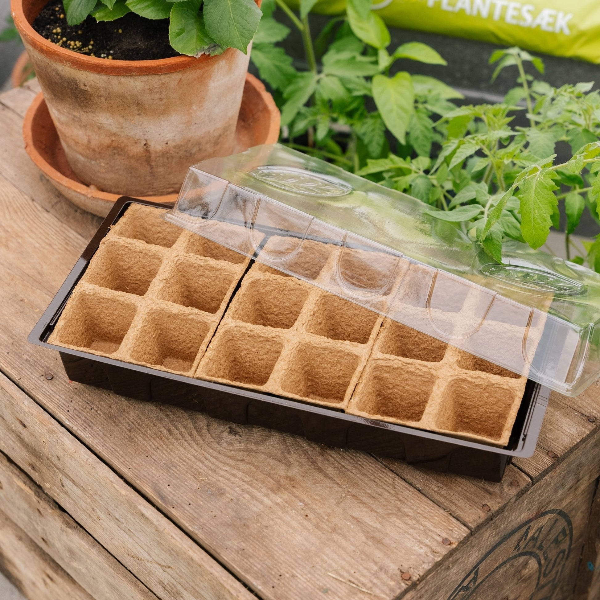 Mini Gewächshaus, 18 Stück