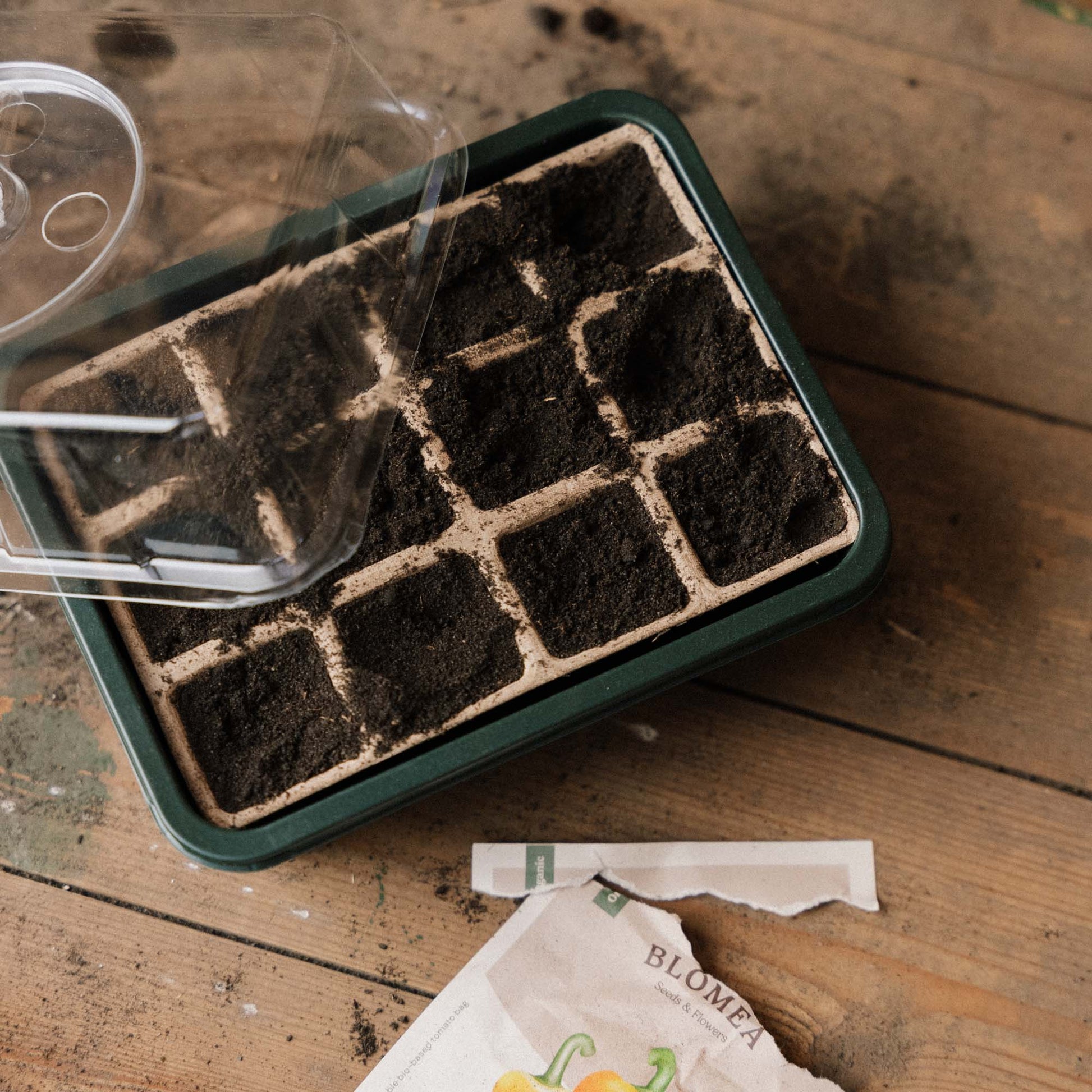 Mini Gewächshaus, klein