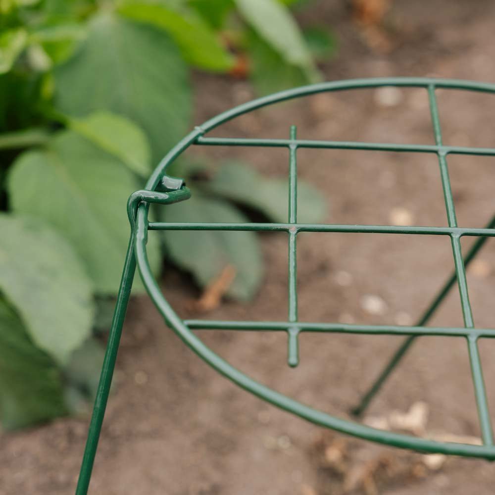 Pflanzennetz, B: 30 cm H: 45 cm