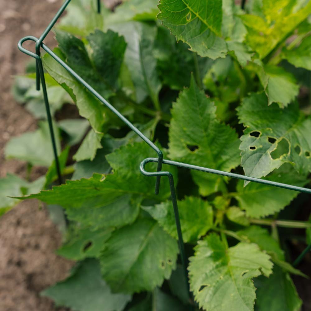 Pflanzenstütze, 4 Stk, H: 45cm x B: 17cm