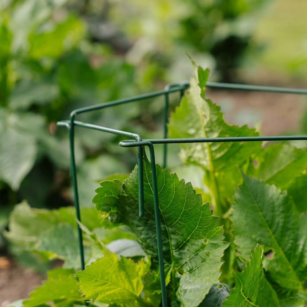 Pflanzenstütze, 4 Stk, H: 45cm x B: 17cm