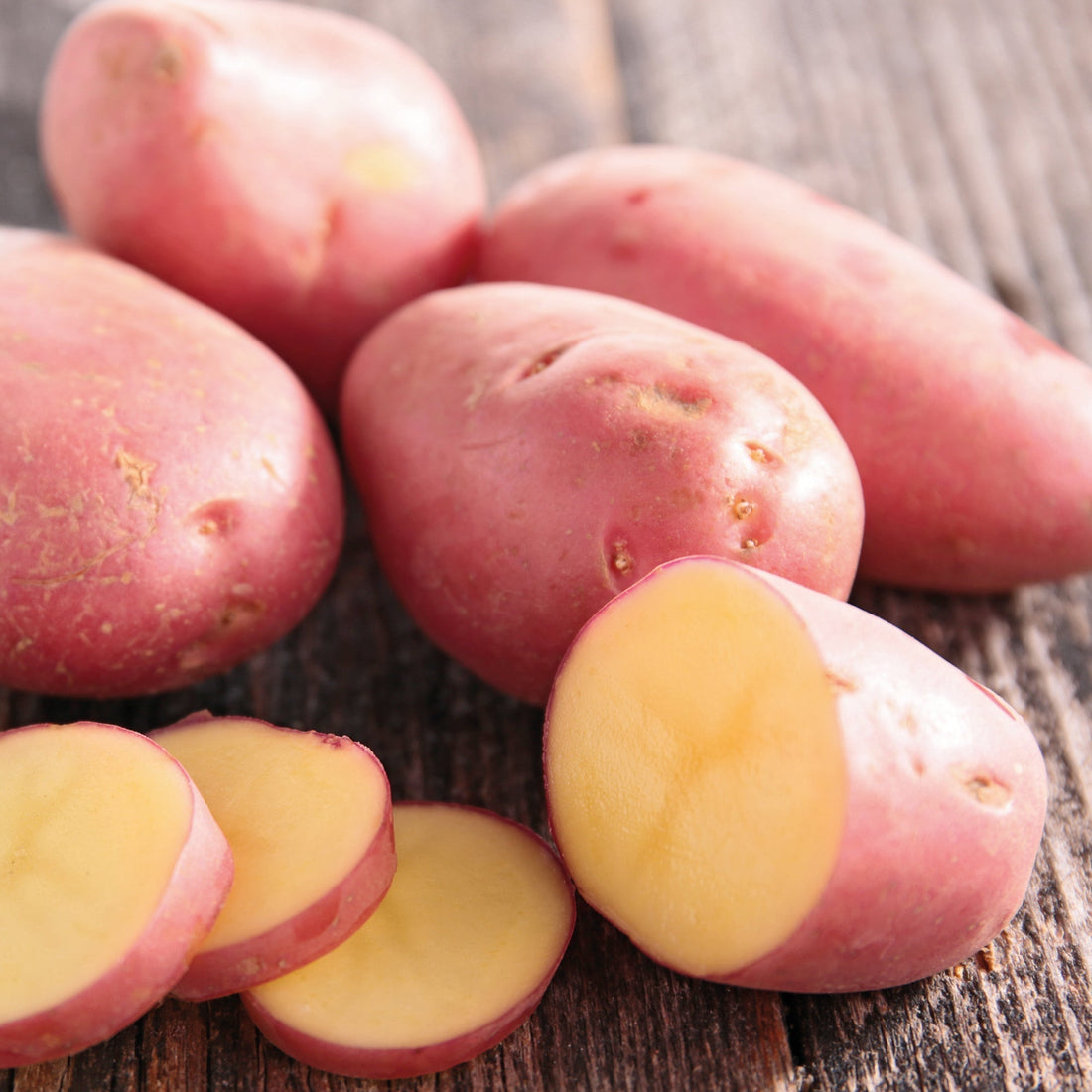 Pflanzkartoffel 'Laura'