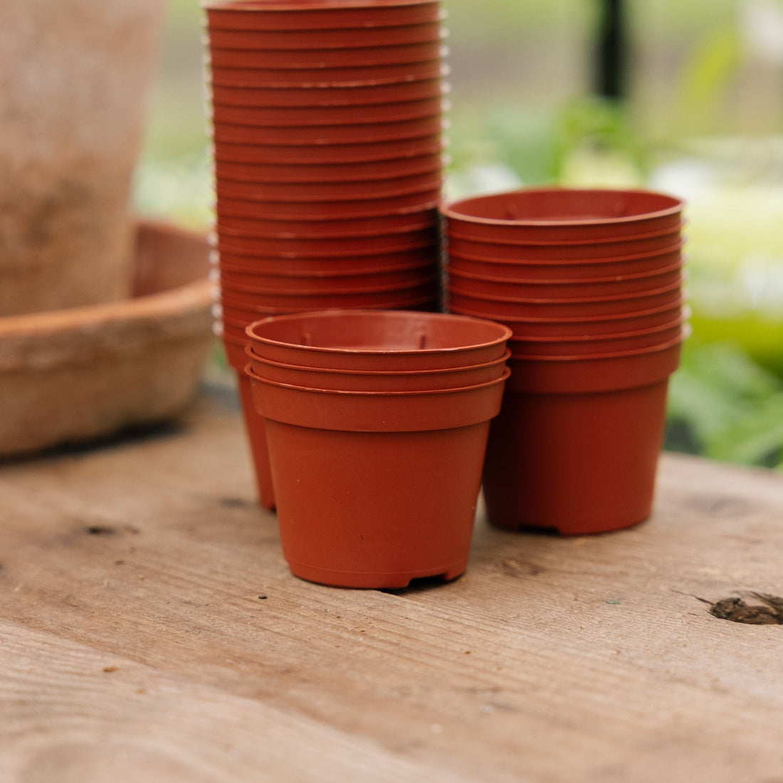 Pflanztöpfe 6 cm, 30 stück