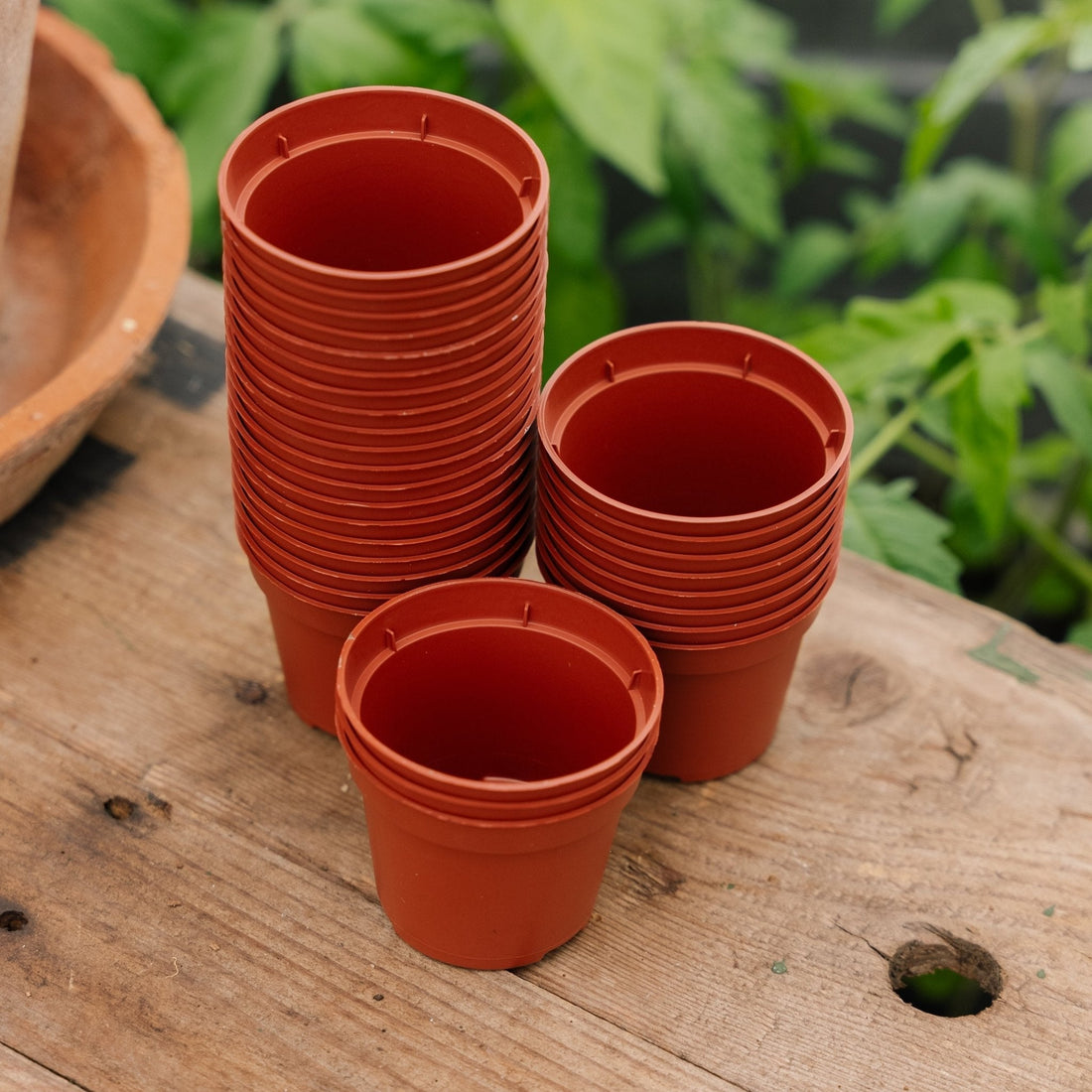 Pflanztöpfe 6 cm, 30 stück