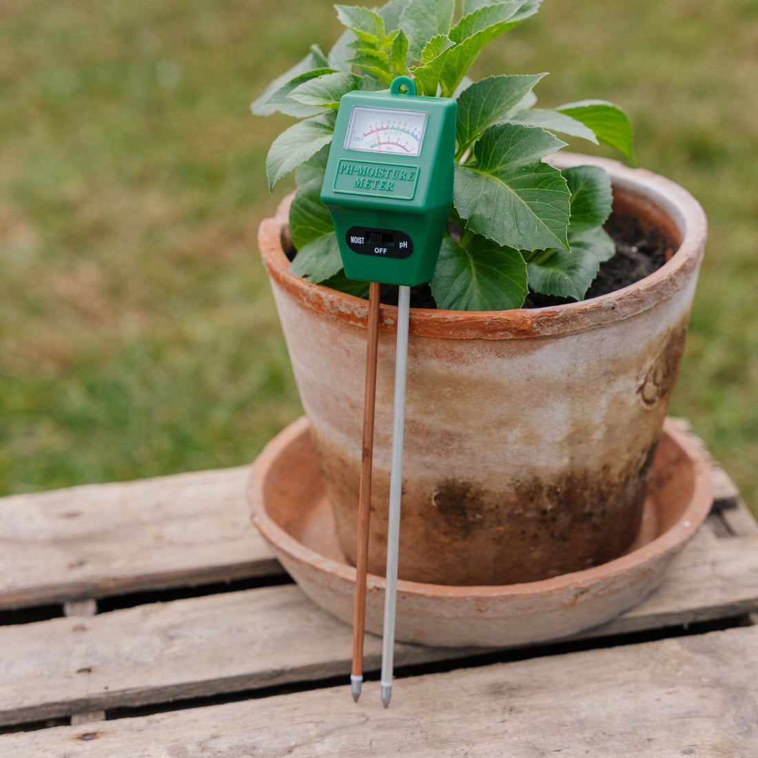 pH & Feuchtigkeitsmesser