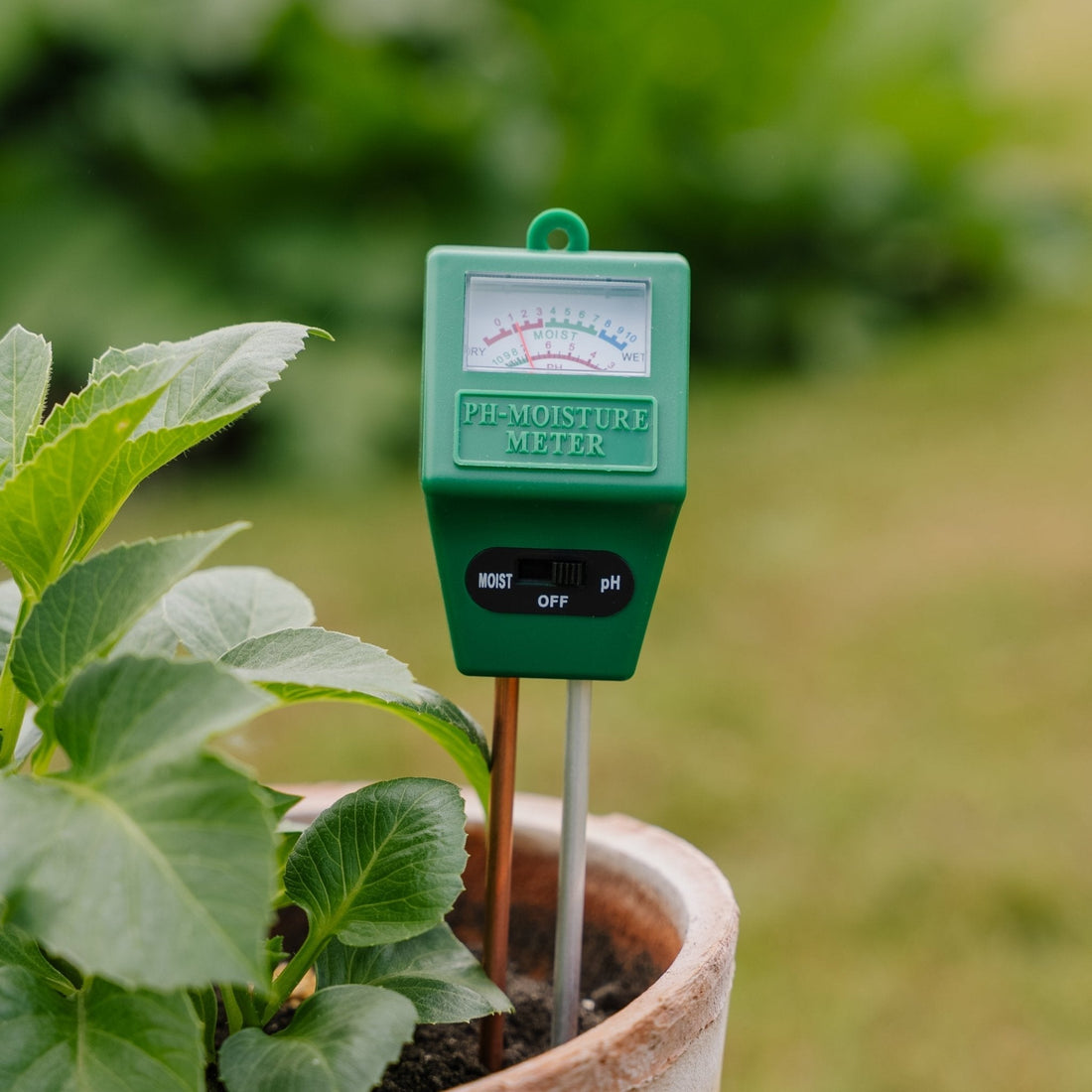 pH & Feuchtigkeitsmesser