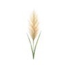 Blumensamen