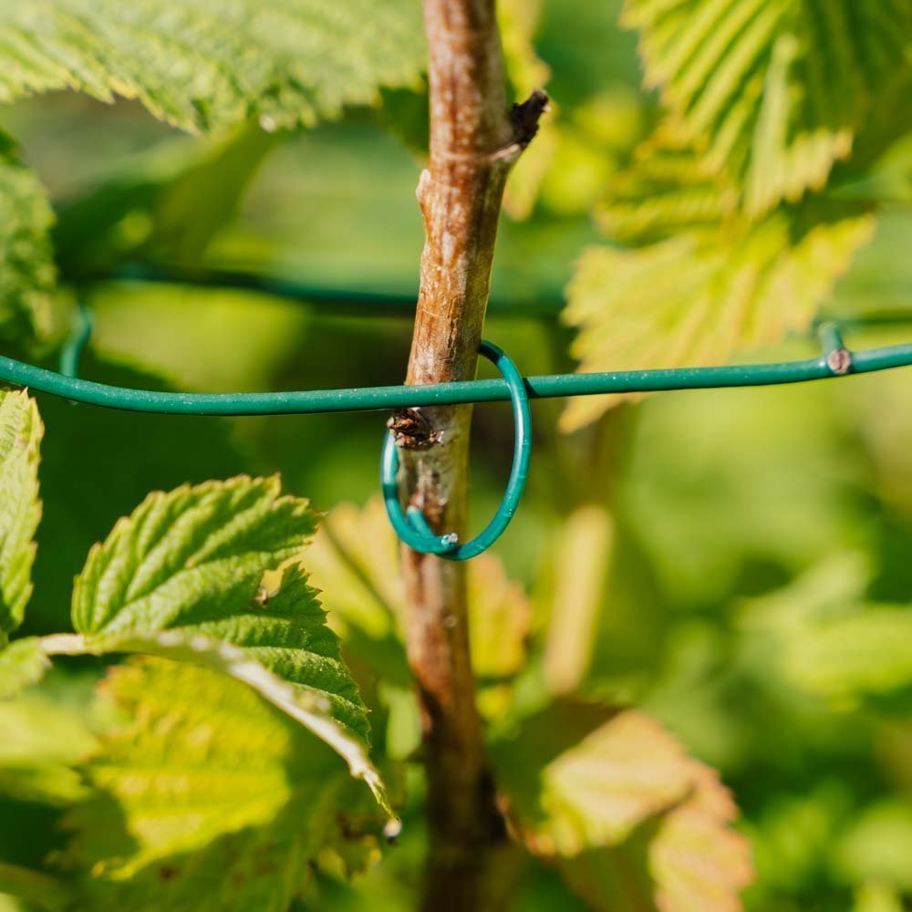 PVC beschichtete Pflanzenkreise, 3 Stück