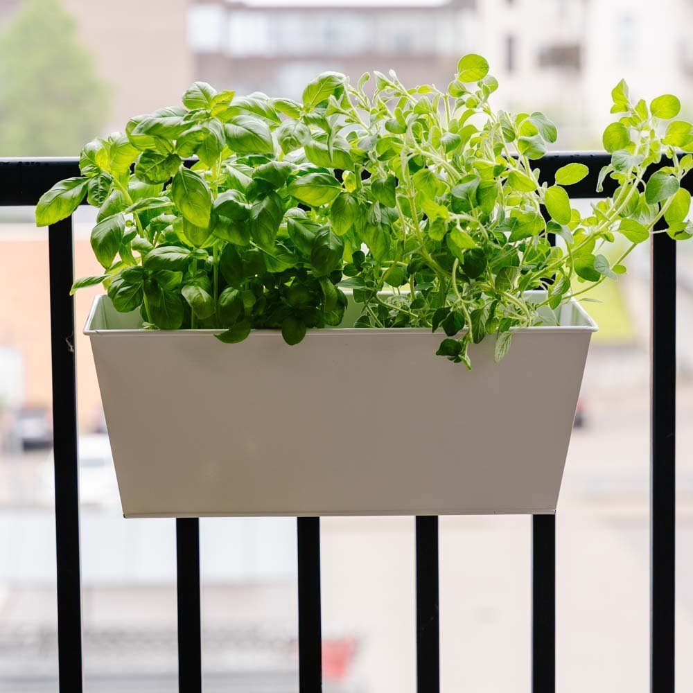 Rechteckiger Balkonpflanzkasten, L: 40 cm B: 16 cm H: 16 cm